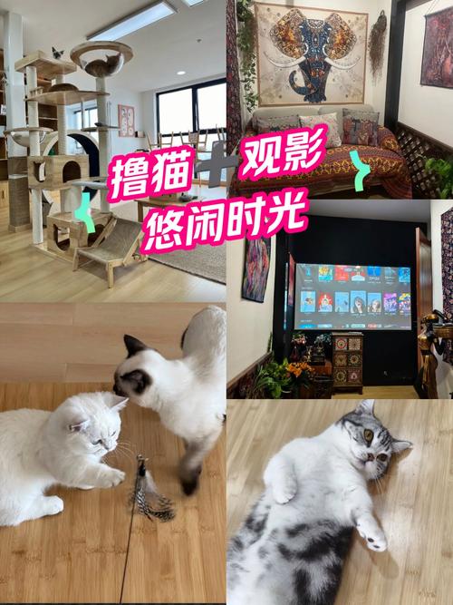 乐吧影院在线观看 - 最新电影、免费高清影视资源、热门剧集抢先看