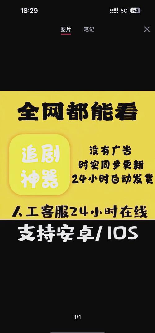 精品久久久久久无的相关介绍