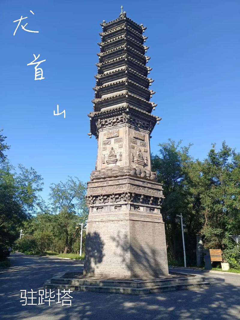 车里男女大尺度视频的相关介绍
