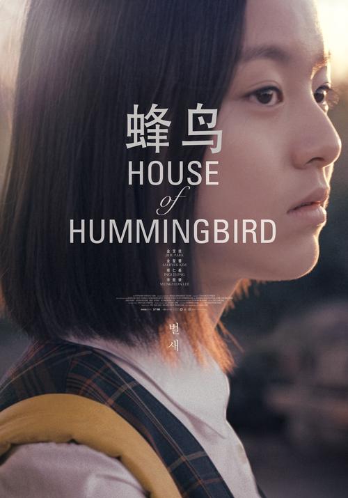 蜂鸟影院在线观看电影 | 2025最新高清大片免费播放平台推荐(无广告/流畅观影/独家片源)