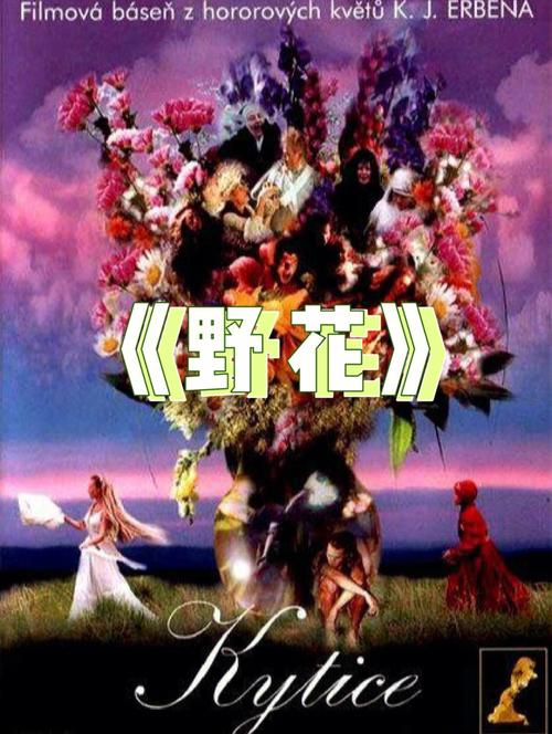 南方商城电影院｜热门影片排片与IMAX厅体验｜上海闵行区观影推荐