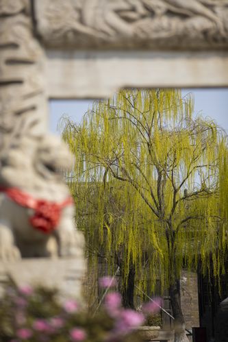 汇众影院 | 最新电影排期、优惠购票及周边美食推荐