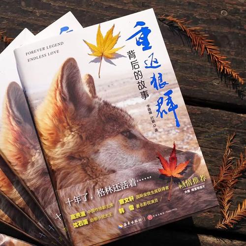 小清新电影院 | 独立文艺片单推荐、小众影院打卡指南、周末治愈系观影计划