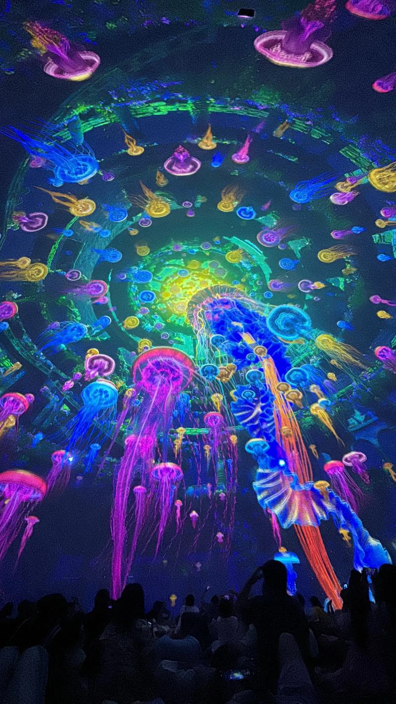老司机影院手机在线观看免费 - 高清无广告版，追剧不卡顿，夜场福利资源随心享