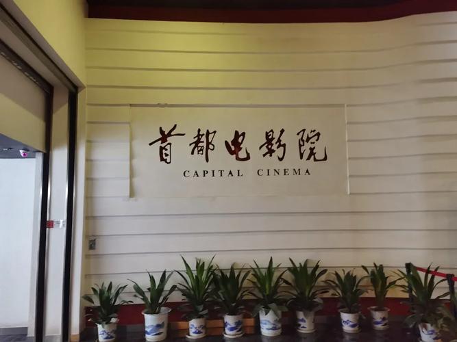 山外人精品影院 - 高清在线观影平台，最新热门电影免费播放，独享无广告畅快体验