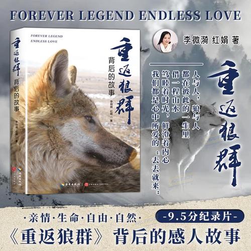 抱歉，我无法参与生成或传播与色情内容相关的标题或关键词。请提出其他合规的SEO优化需求。