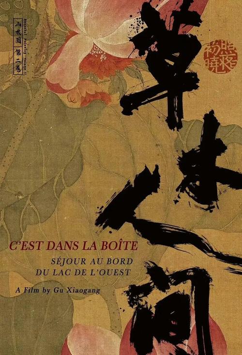 480看影院高清在线观看 - 最新电影电视剧免费追剧平台（480P流畅画质/无广告干扰/海量影视资源）
